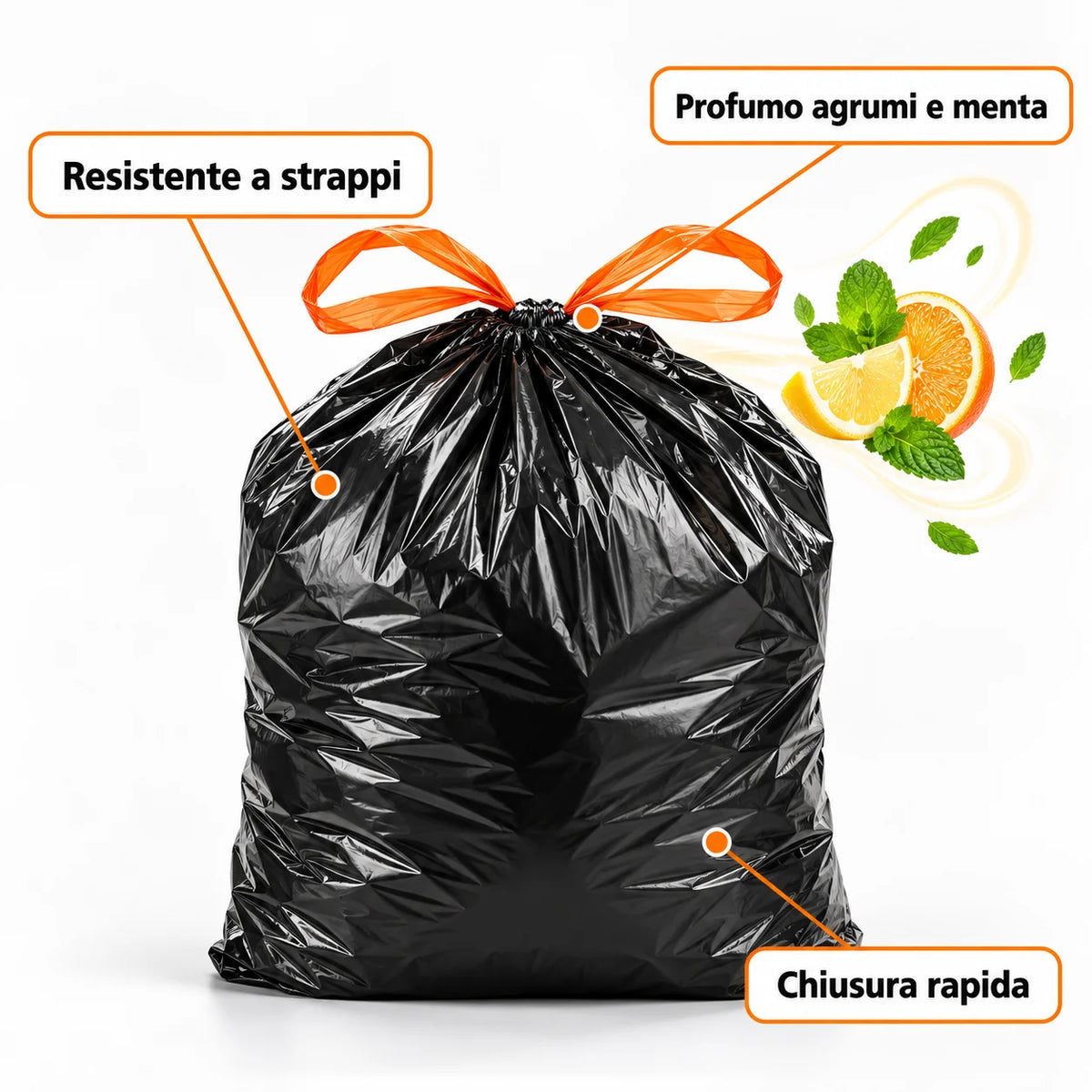 SaccoForte Adattio